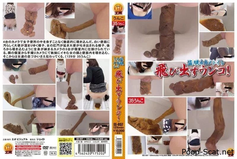 盗撮 便所駆け込みOL パンティずらし下痢便 ～嘆きの洋式便所編～ コスチューム Diarrhea EE-057 - Do A Crap, Dirty Lesbians, Play Anal And Shit