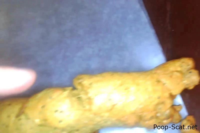 Foot Long Masturbation of Fun - kalasextoncb - Compilation Scat, Huge Turds, Spicy Scat