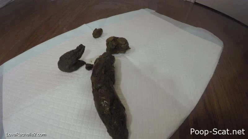 Dumps Like A Truck - LoveRachelle2 - Extreme Puke Porn, Drying Shit, Delighting Scat