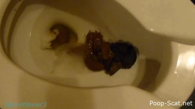 Multicolored Shit Explosion With Tons Of Farts And Pee - Secretlover3 - Desperation Scat, Ass Shit, Fart Action