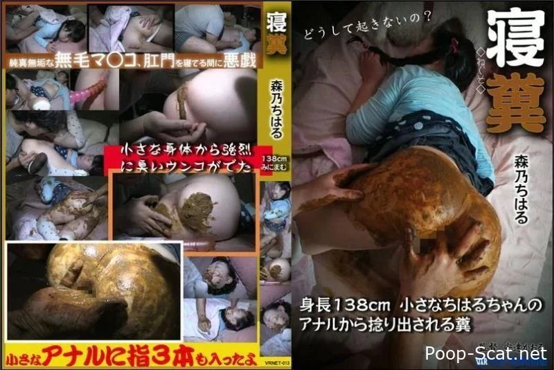 Enema excretion and cums on ass. VRNET-013 - Cosplay Scat, Fingered In Shit, Shit Mask