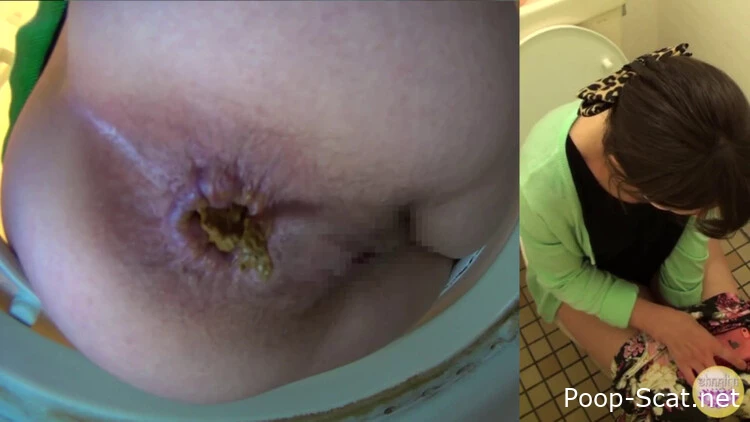 Film-JAV Scat - Toilet Defecation, Catdesire, Scat Voyeur