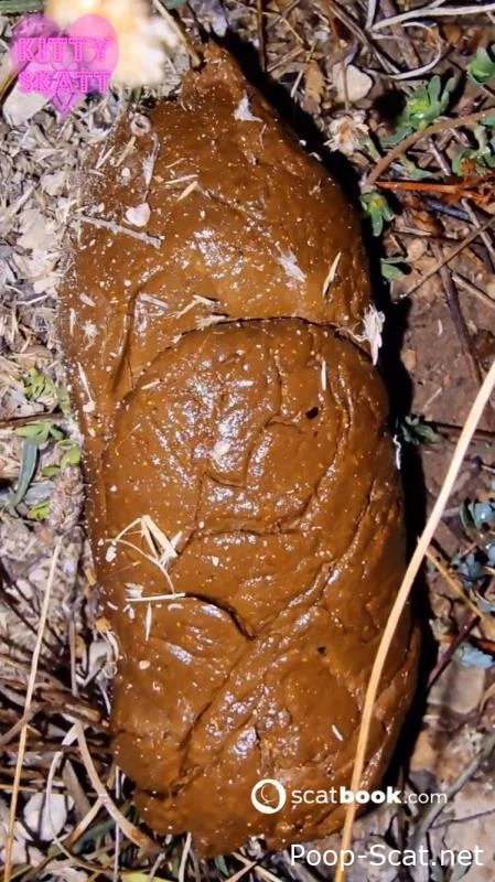 Open Field Outdoor Poo on Festival. P1 - Big Butt, Scat Brazil, Suck Shit