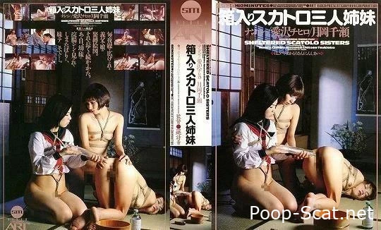 Shitting, pissing, vomitting and enema orgy. SM-ART - Eating Shit, Toilet Domination, Desire Shit