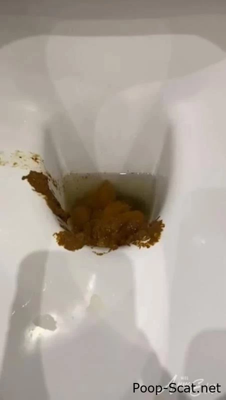 A big pile of shit in the toilet. P1 - Puckered Scat, Lesbians Scat Play, Outdoor Scat